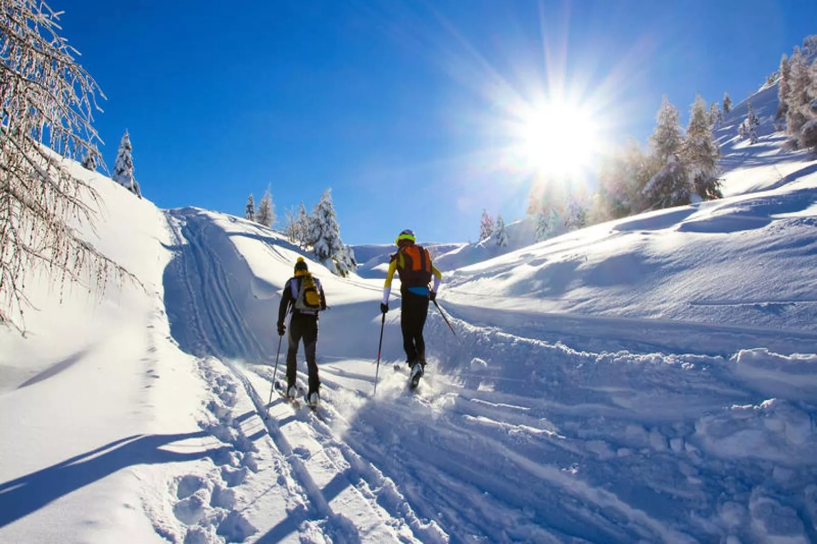 Appartements à Saint Jean d'Aulps-Gebied winter 5km
