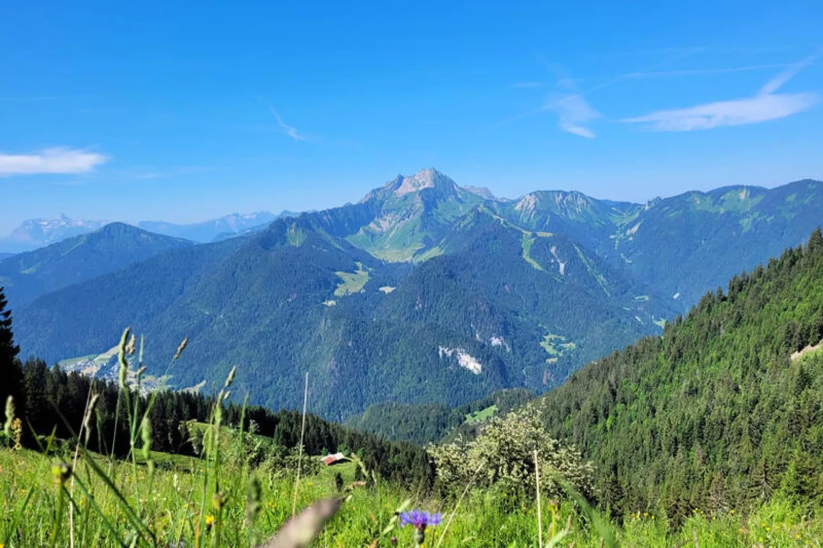 Studio à Saint Jean d'Aulps-Uitzicht zomer