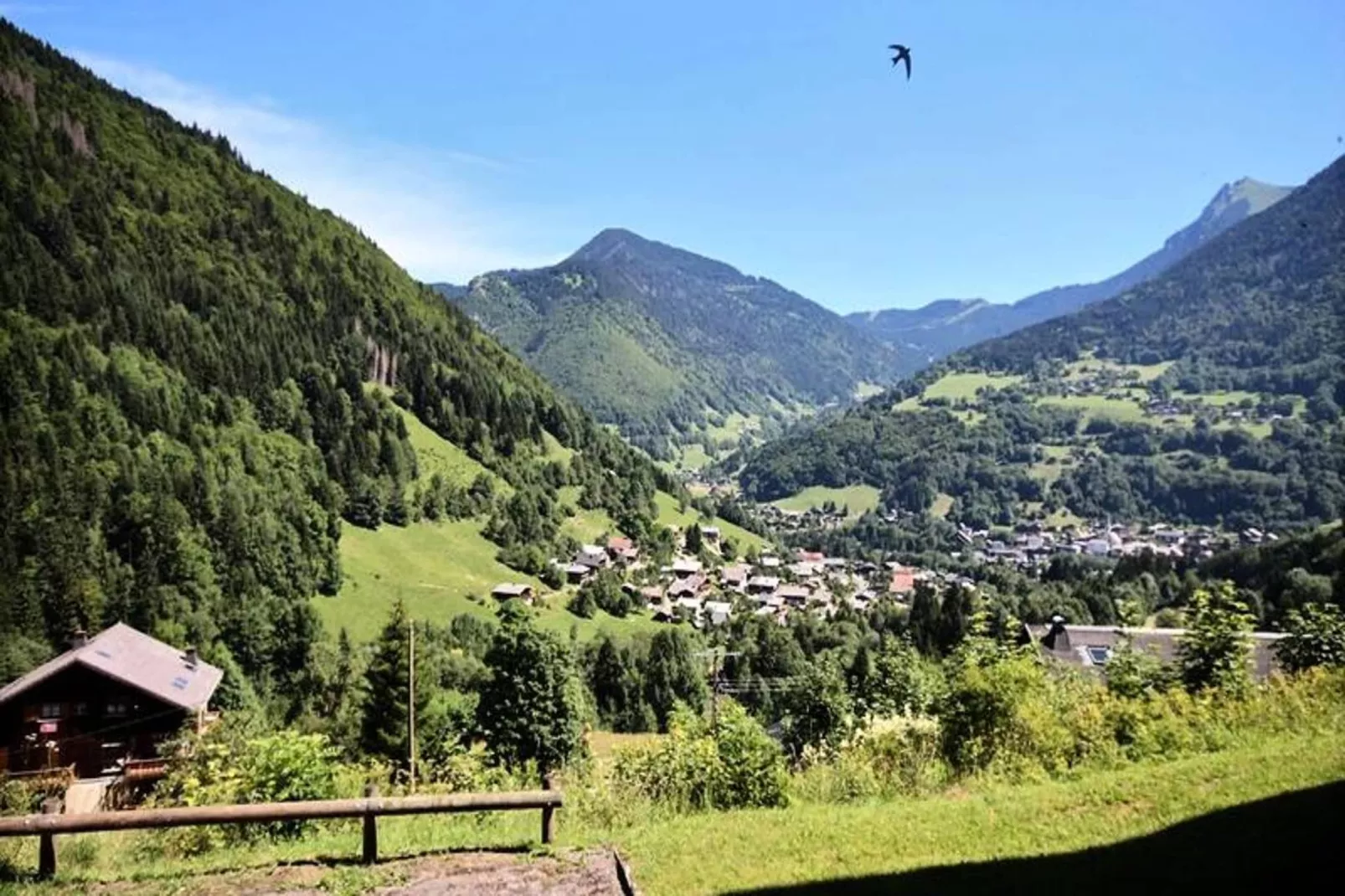 Appartements à Saint Jean d'Aulps-Uitzicht zomer
