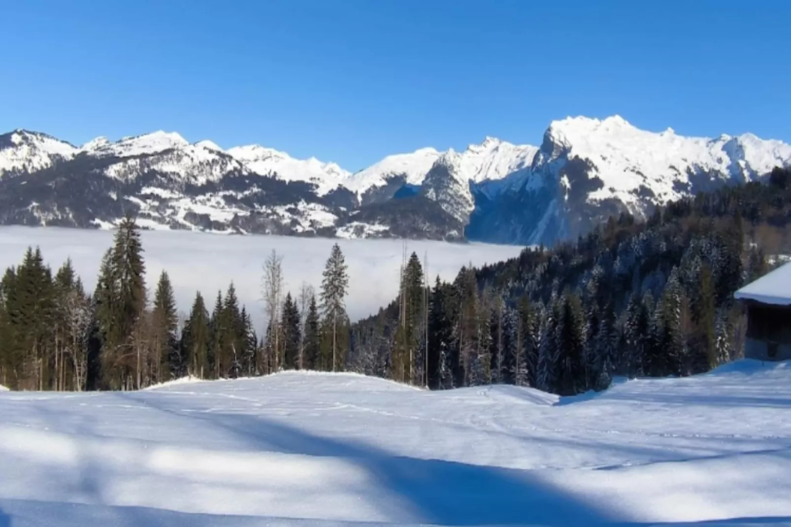 Résidence Odalys Le Buet**-Gebied winter 1km