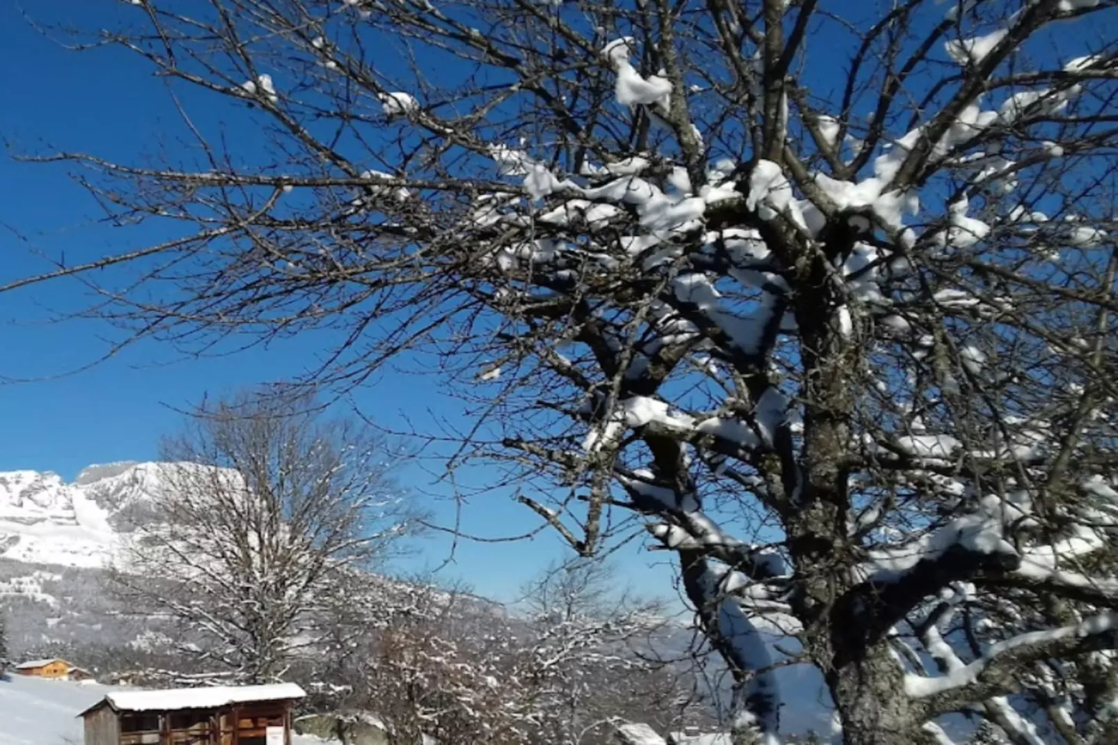 Résidence Villavit-Gebied winter 5km