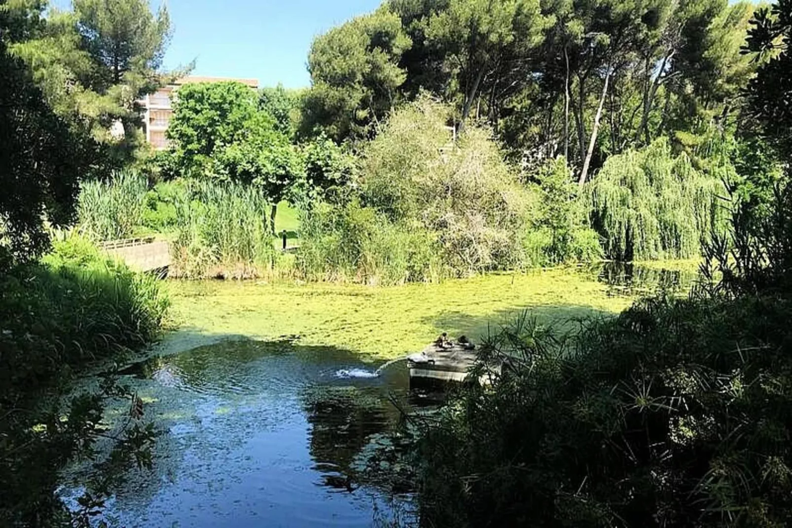 Résidence Marines D'aryana-Uitzicht zomer