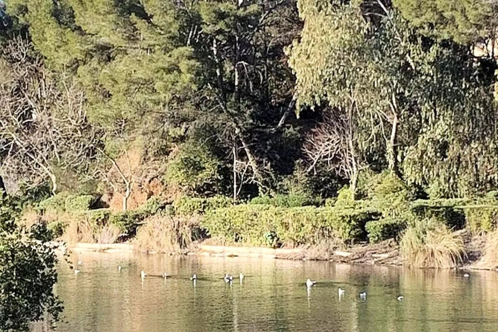 Résidence Verdon-Uitzicht zomer