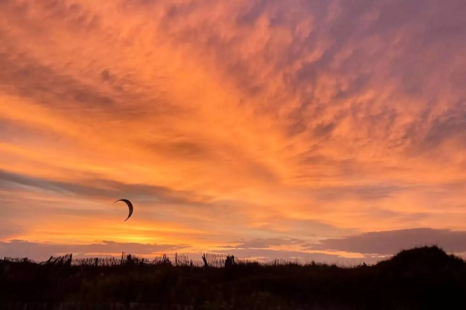 Résidence Le Palm -hyeres-Image-tags.