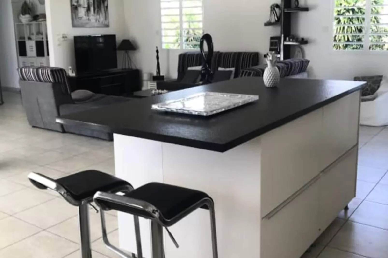 Villa Arbre Du Voyageur-Image-tags.