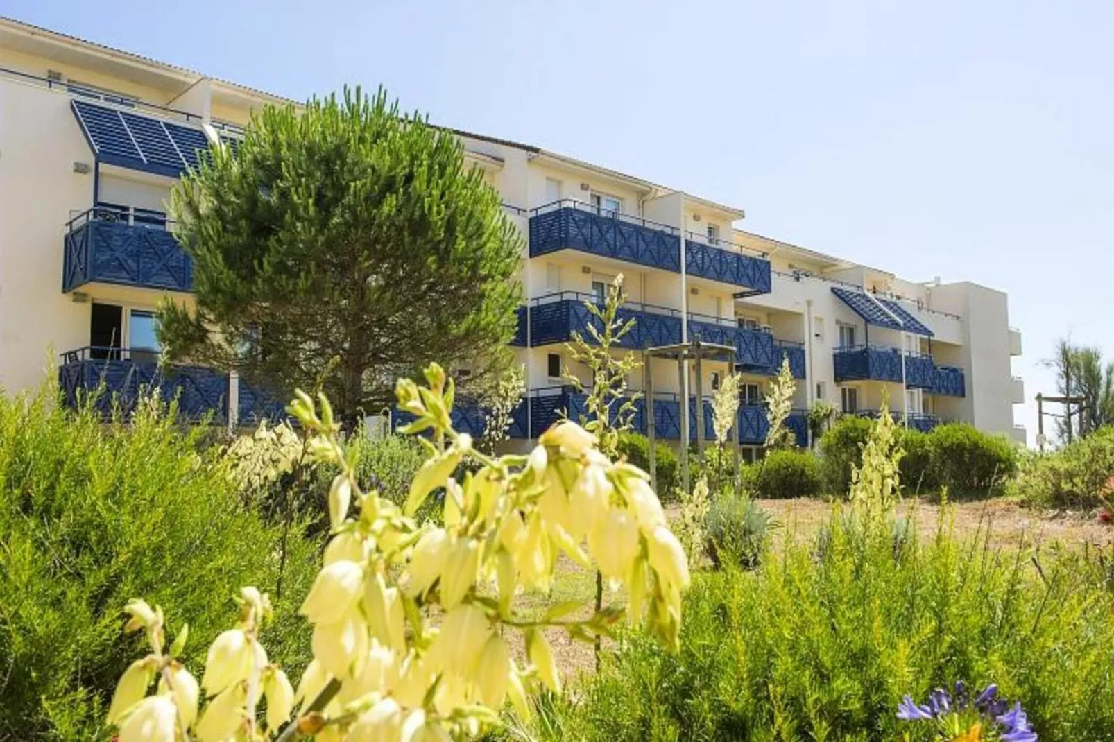 Résidence Bleu Marine - maeva Home-Buitenkant zomer