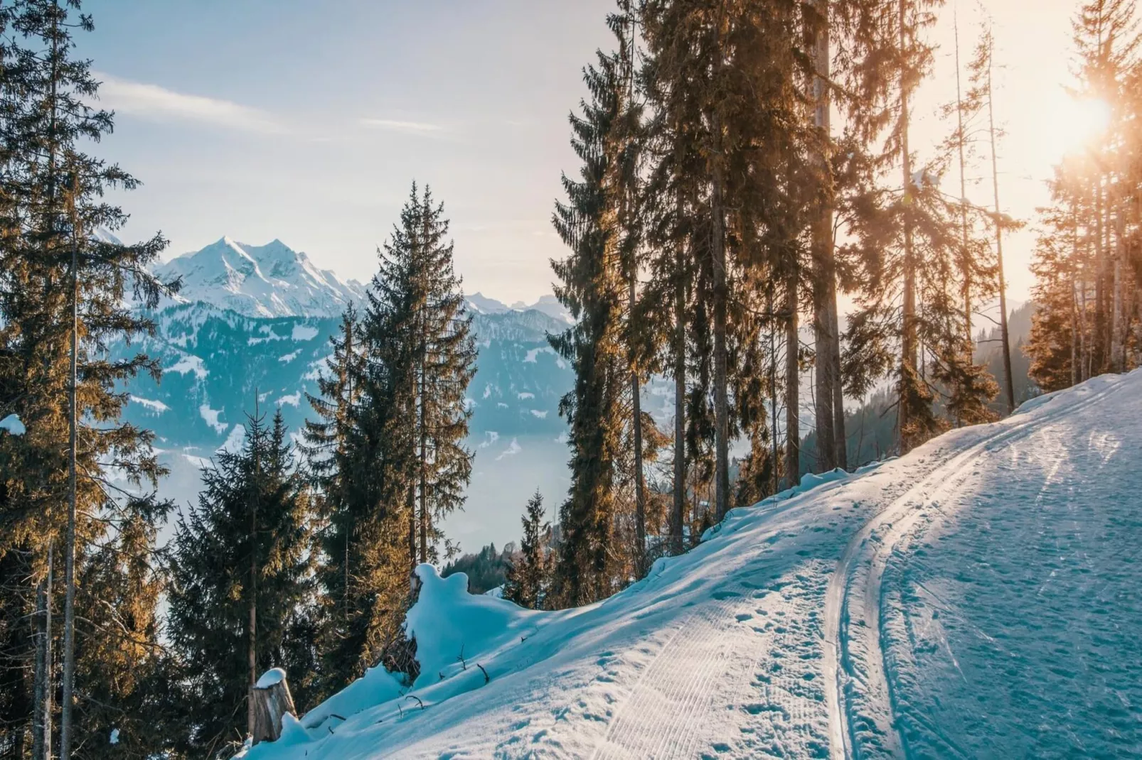 Résidence Garlitz Altitude - Gebied winter 5km
