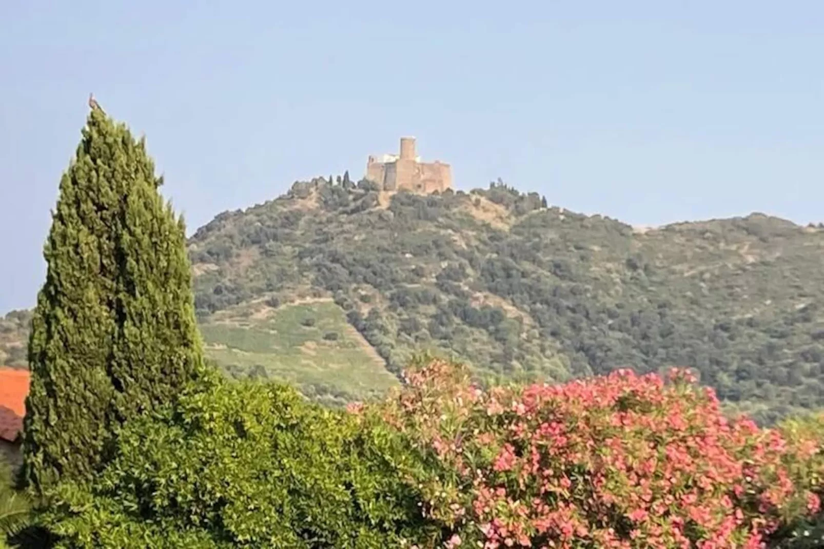 66b - Bel Appartement &agrave; 800m De La Mer Avec Parking Priv&eacute;-Image-tags.