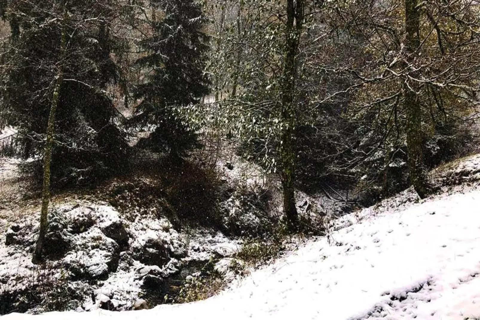 Résidence Sapiniere-Gebied winter 1km