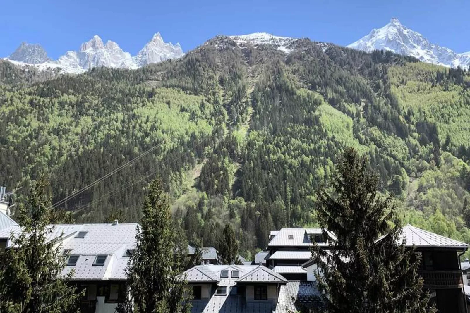 Résidence Riviere-Uitzicht zomer