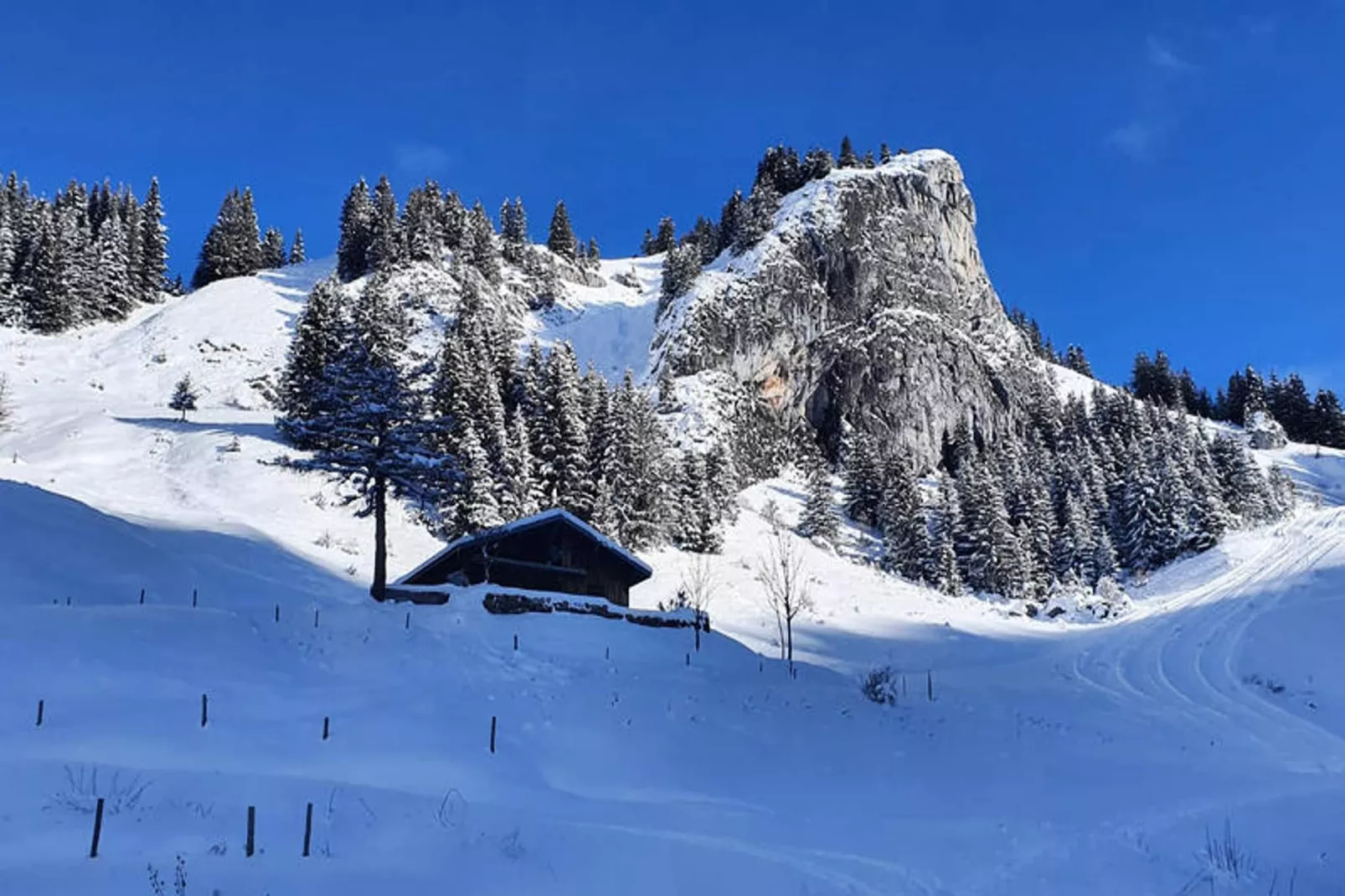 Appartements à Saint Jean d'Aulps-Gebied winter 1km