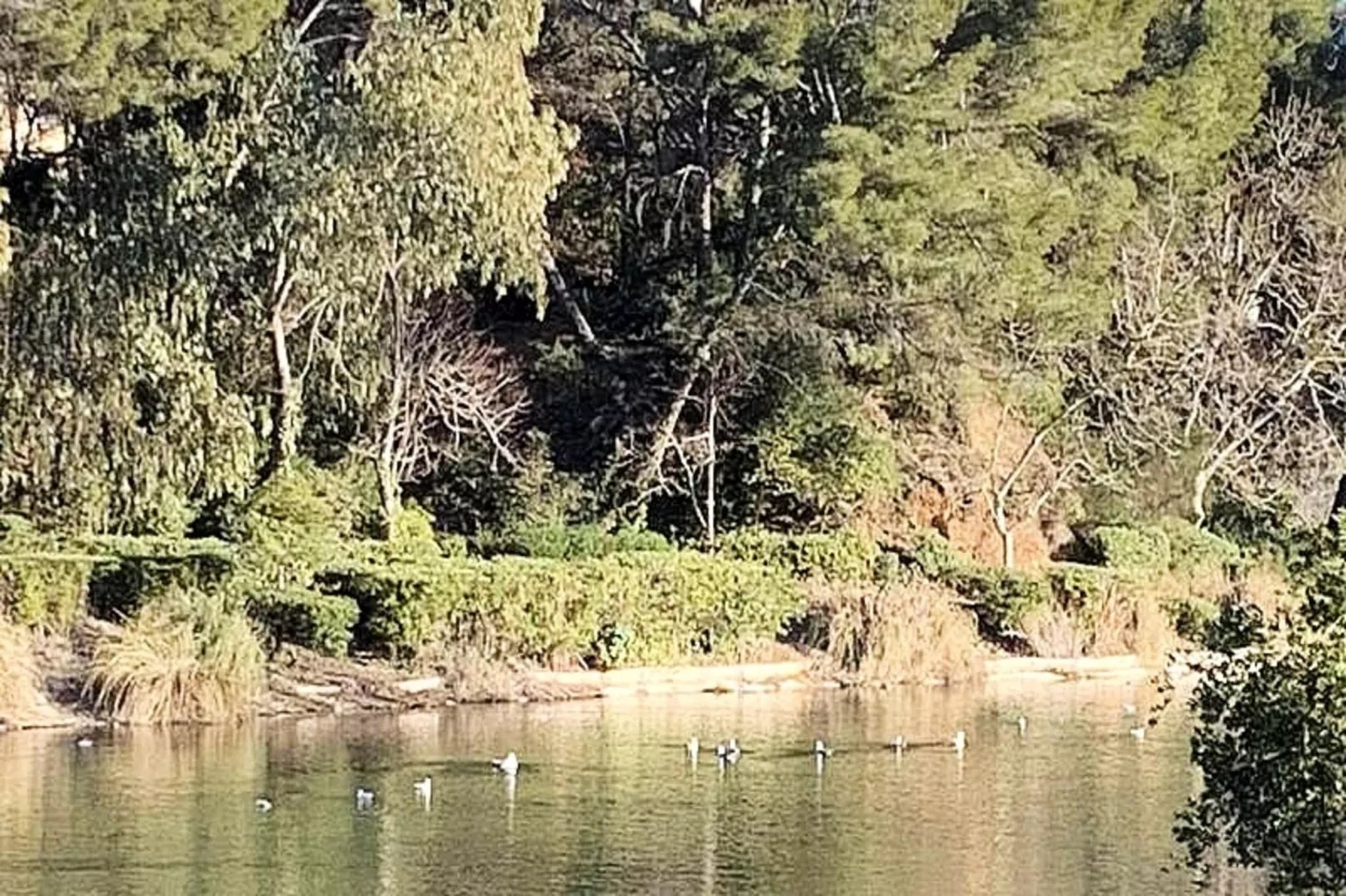 Résidence Verdon-Gebieden zomer 1km