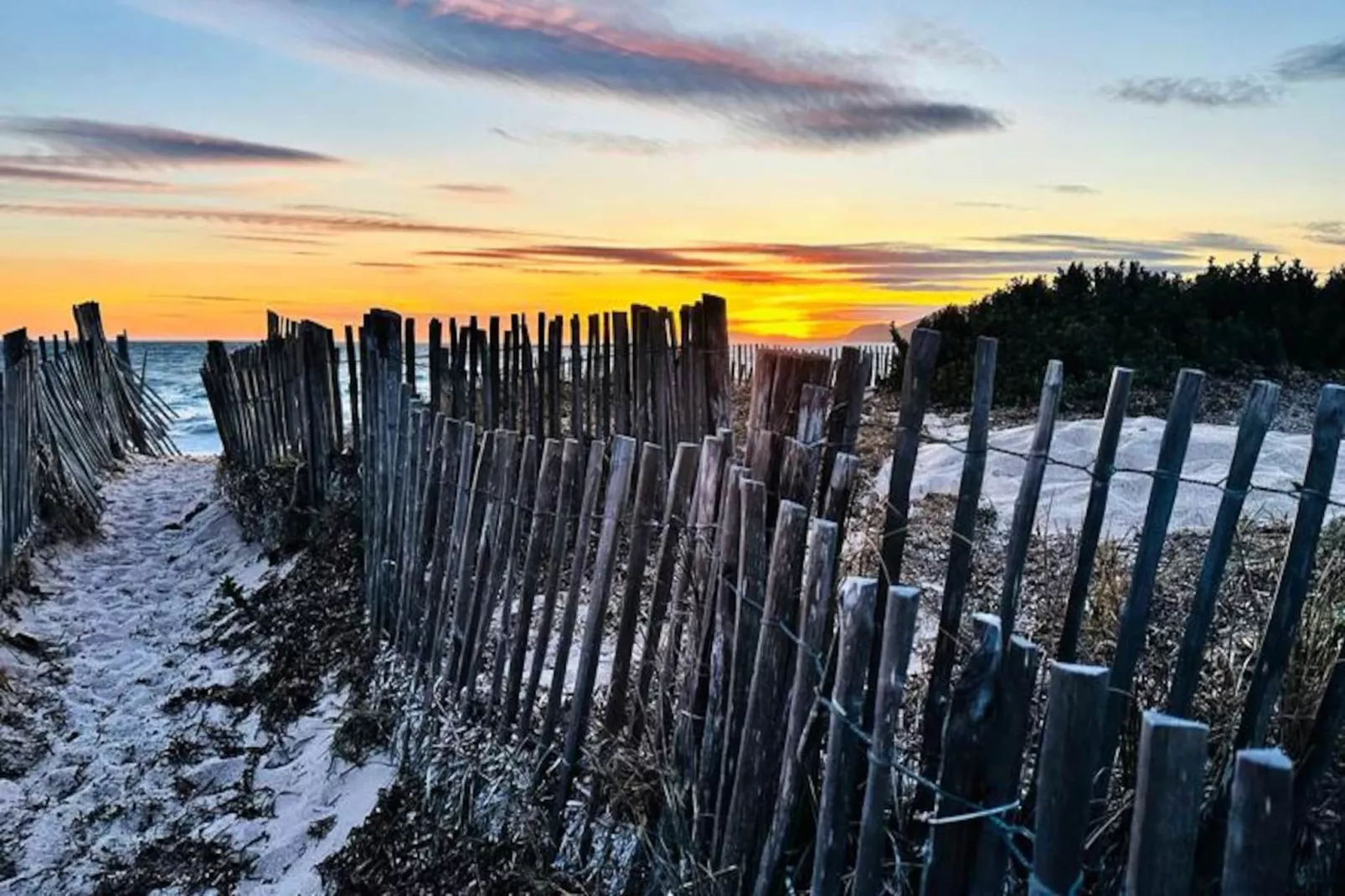 Résidence Hyelan-hyeres-Image-tags.