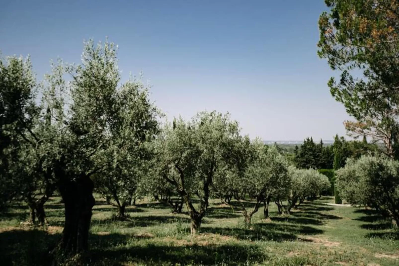 La Voli&egrave;re - Pernes-les-fontaines-Image-tags.