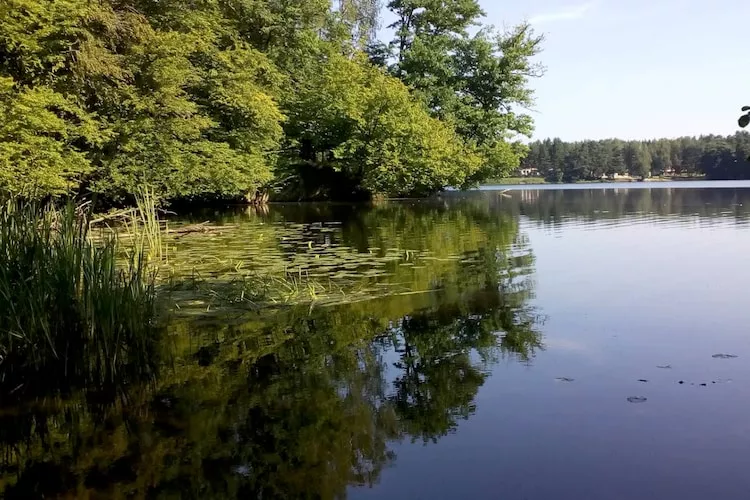 Dom wakacyjny w Krzyni dla max 7 osób-Gebieden zomer 1km