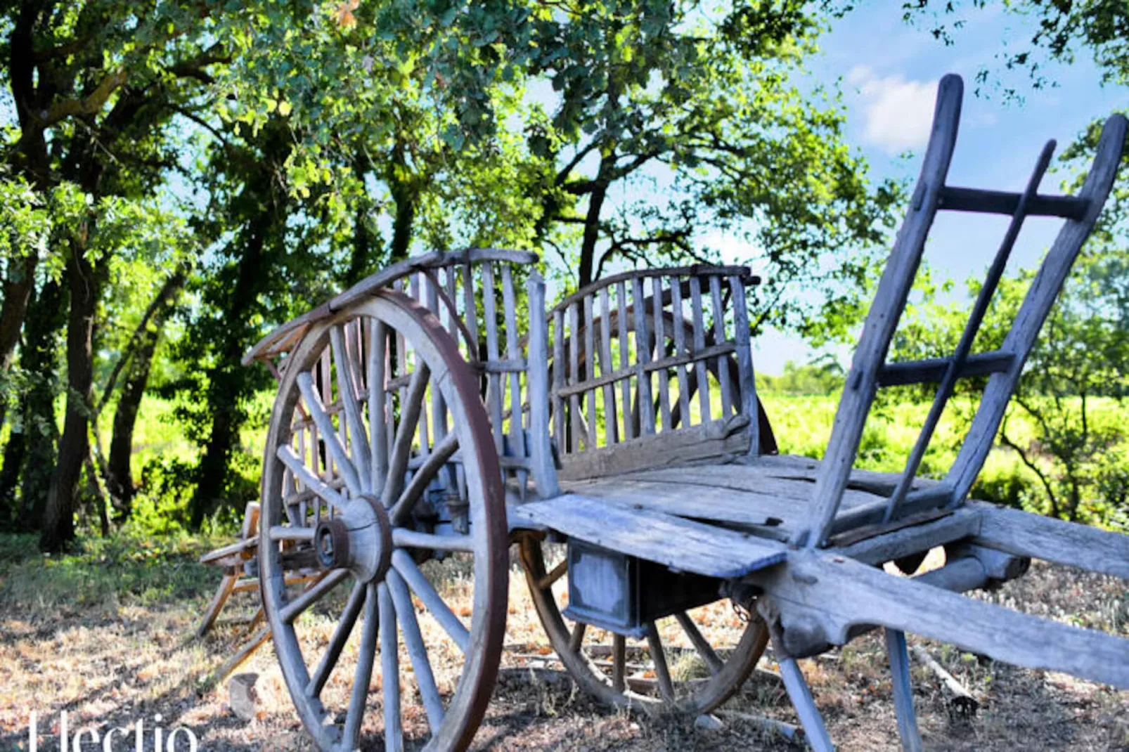 Petite Bastide | Domaine Tour Campanets-Image-tags.