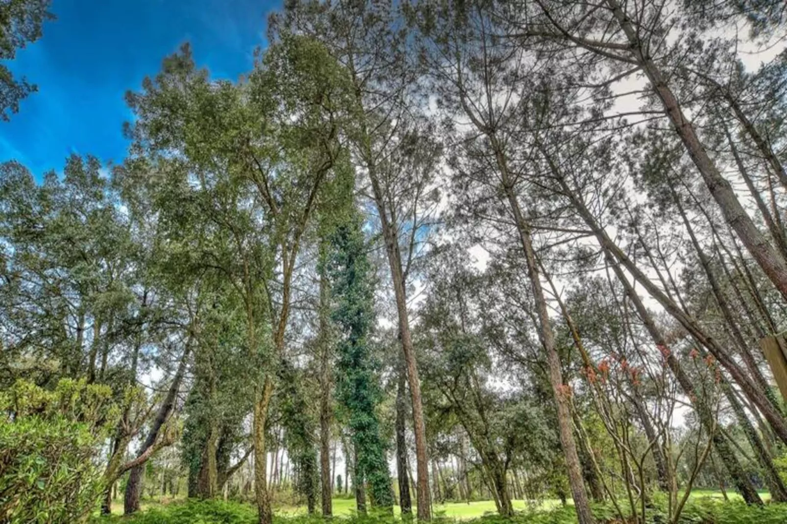 Les Maisons du Domaine du Golf de Pinsolle - maeva Home-Image-tags.