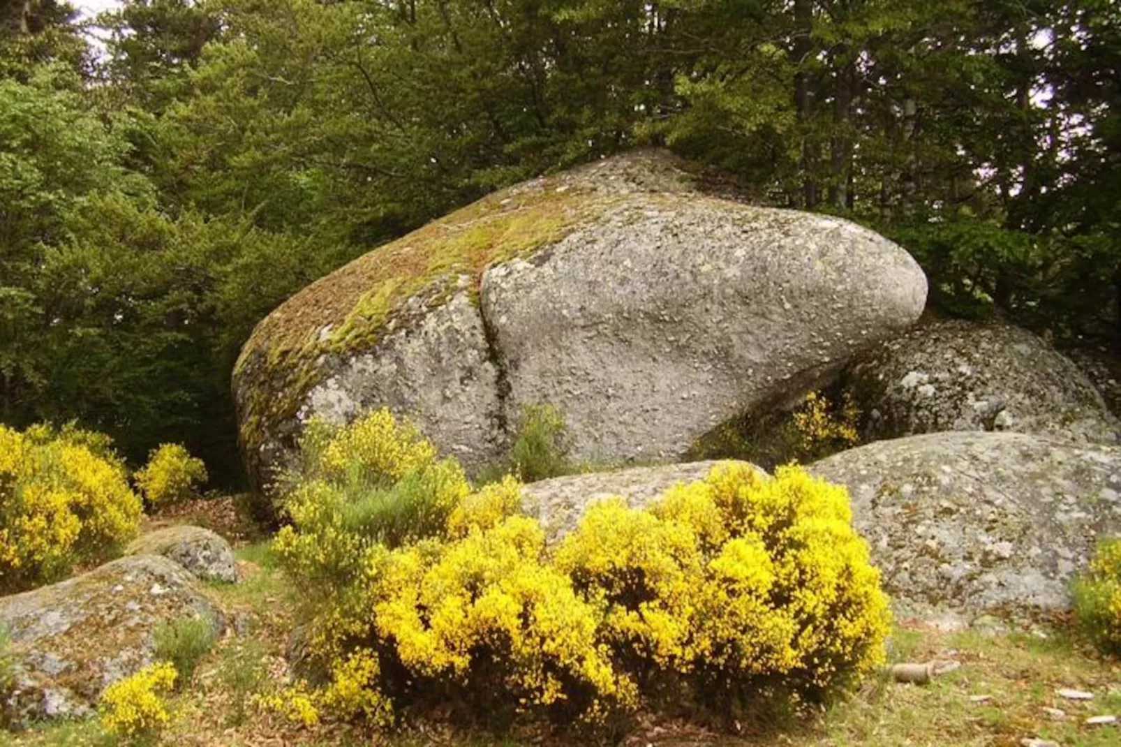 Gîte de France Gîte bienvenue à couffinet 3 épis-Image-tags.