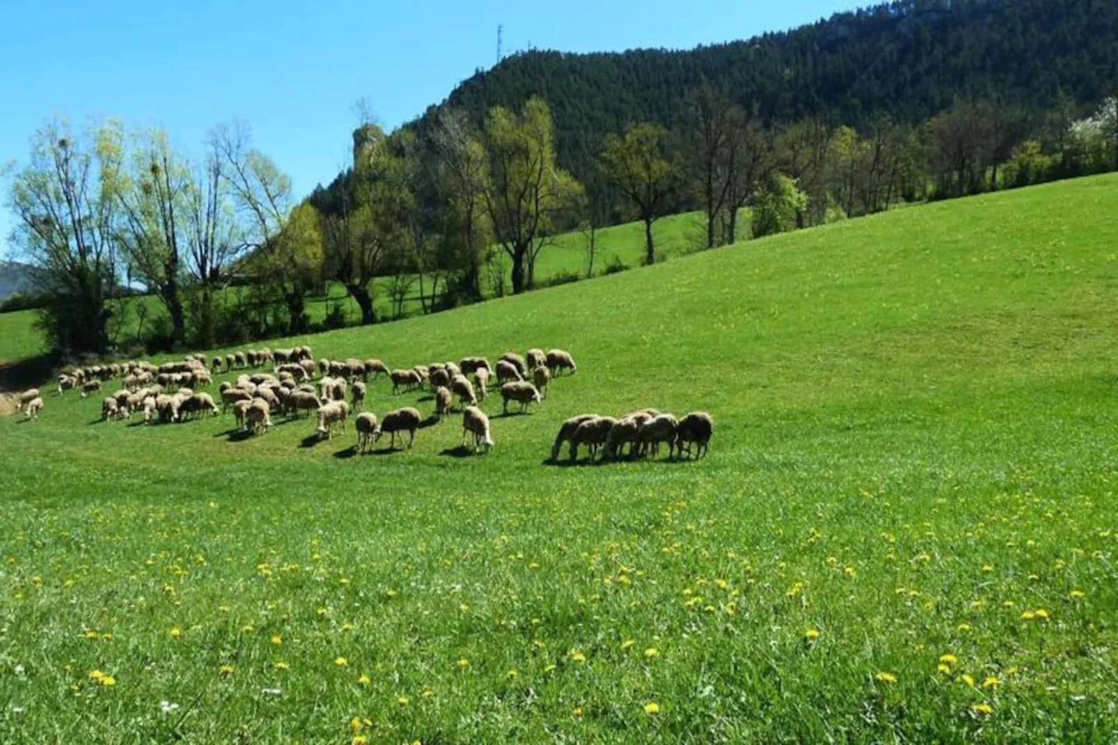 Gîte de France Gîte "la nature" 4 épis-Image-tags.