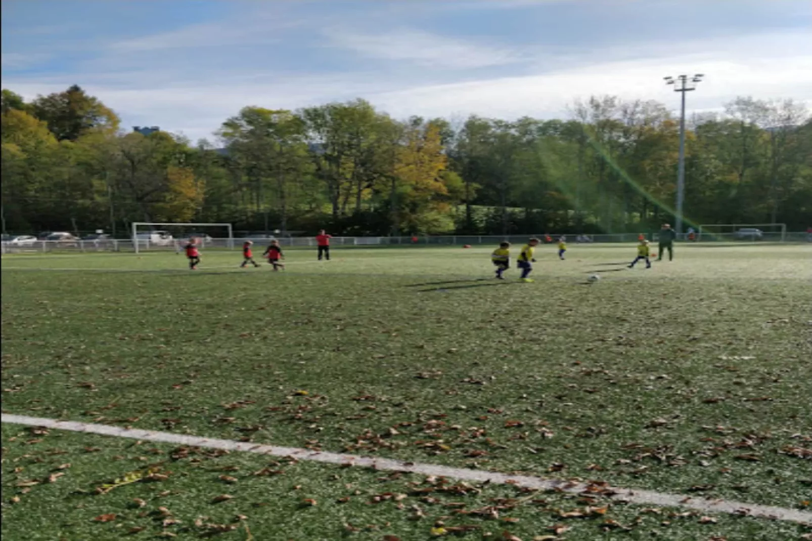 Résidence Stallion A-Gebieden zomer 20km