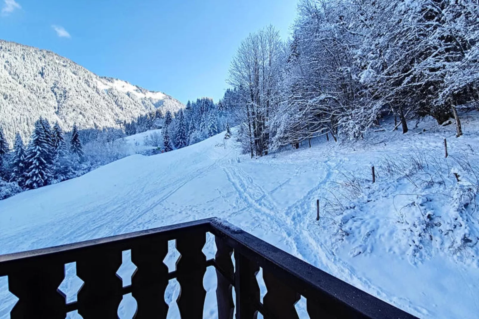 Appartements à Saint Jean d'Aulps-Uitzicht winter