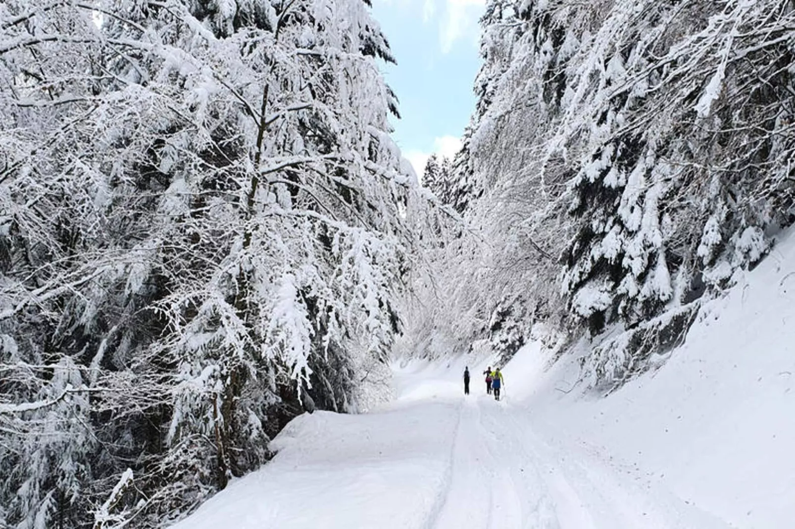 Appartements à Saint Jean d'Aulps-Gebied winter 5km