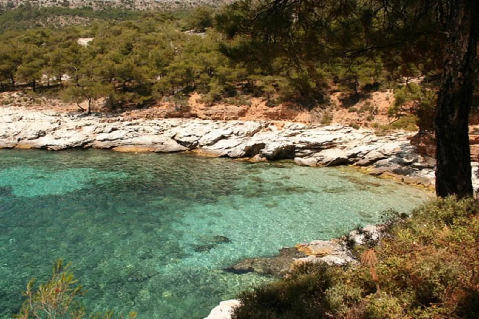 Résidence Rayolet-Gebieden zomer 5km