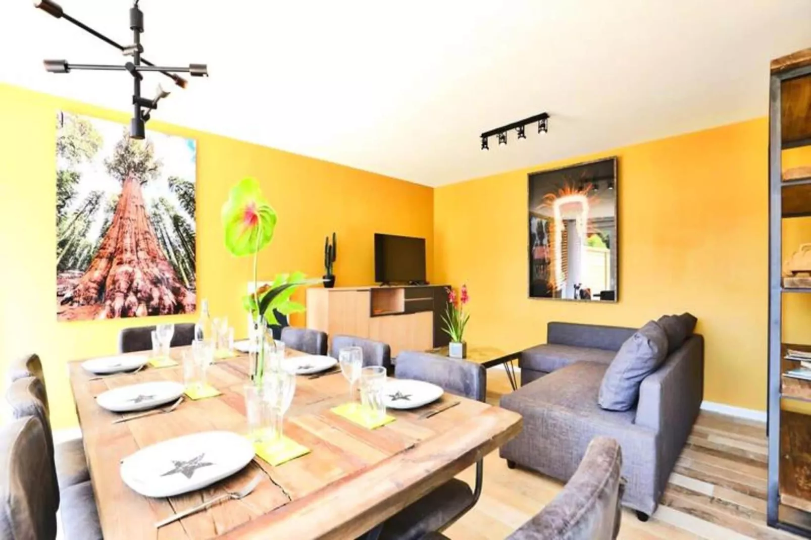 Villa Californie - Domaine Le Sherwood-Buitenkant zomer