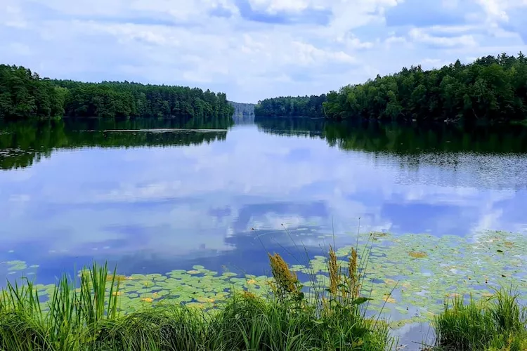 Dom wakacyjny w Krzyni dla max 5 osób