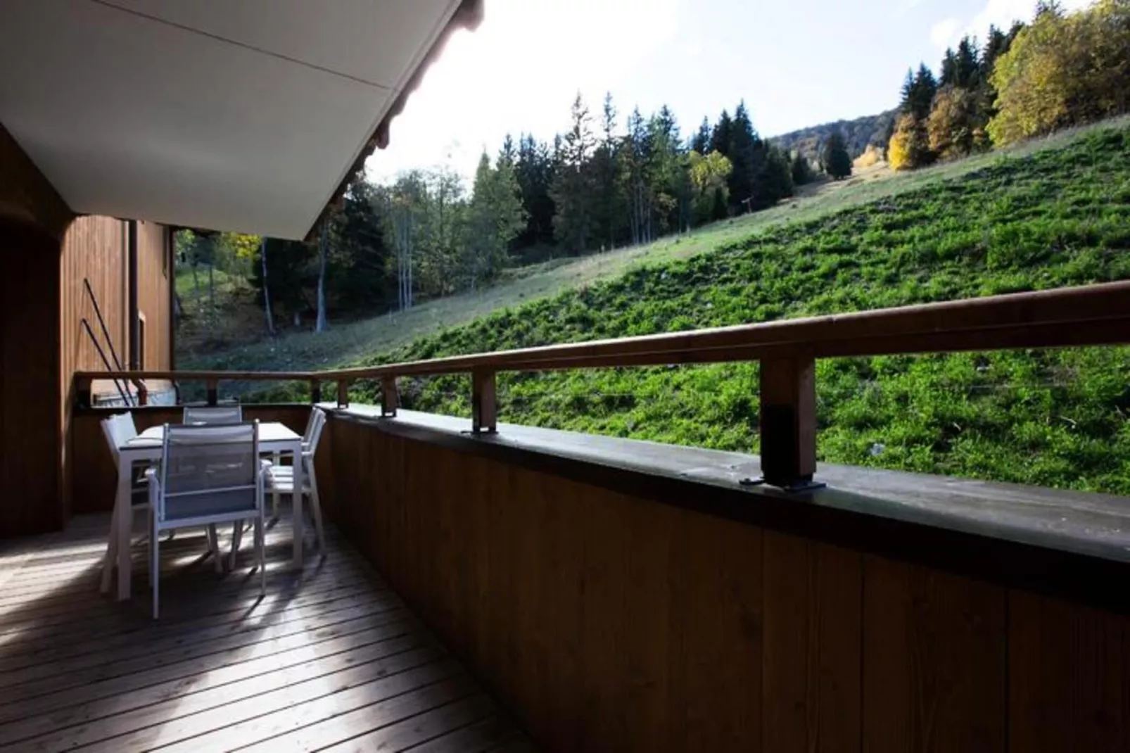 Résidence La Grange Aux Fees-Terrasbalkon