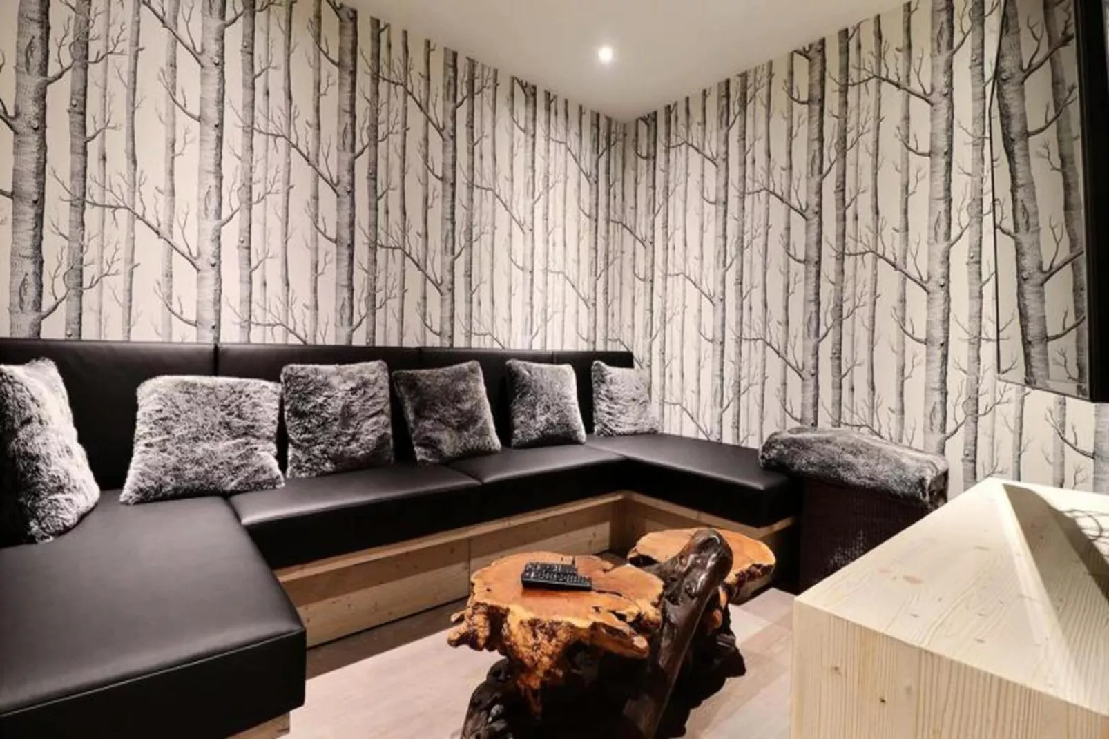 Résidence Explorer Meleze-Buitenkant zomer