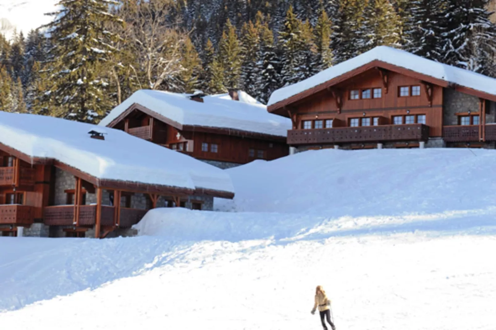 Appartements à Les Carroz-d'Arâches-Gebieden zomer 5km