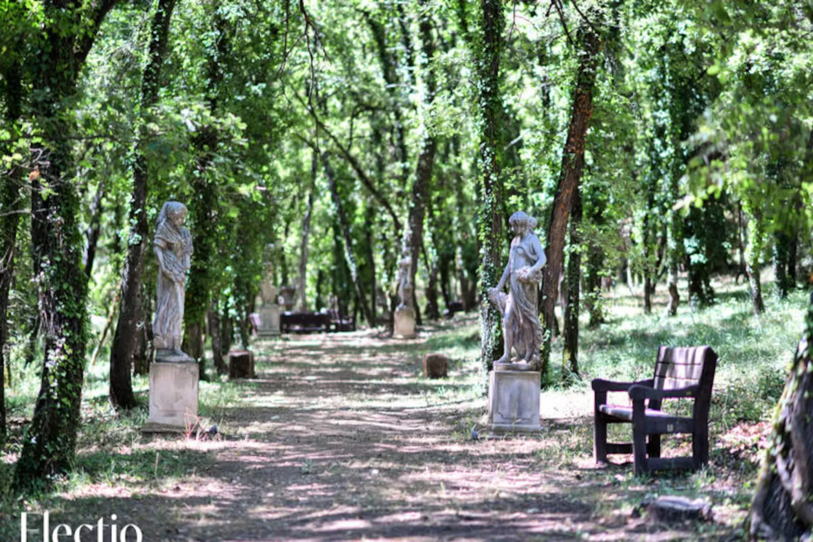 Petite Bastide | Domaine Tour Campanets-Image-tags.