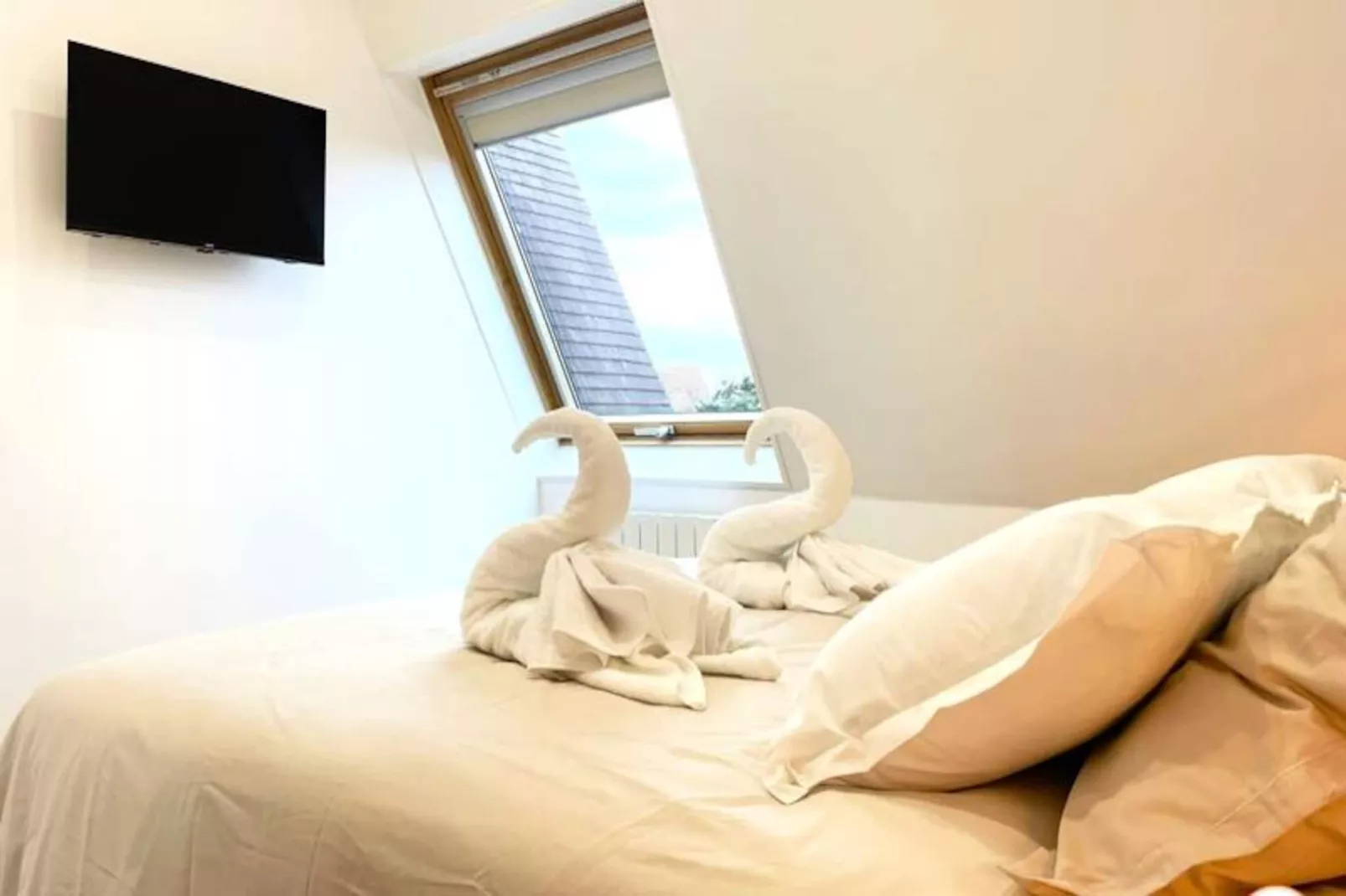 🌅  Le Petit Palais - 50m Plage - Vue Mer Et Campagne-Image-tags.