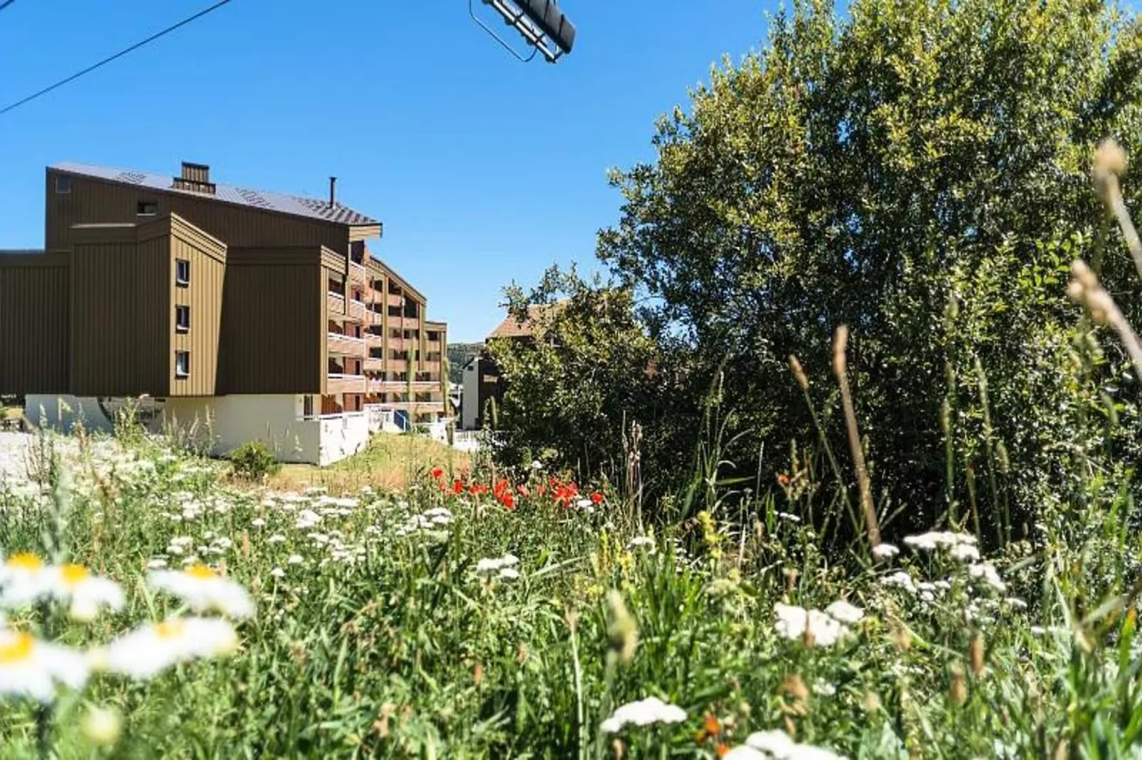 Résidence Les Bergers - maeva Home-Gebieden zomer 1km