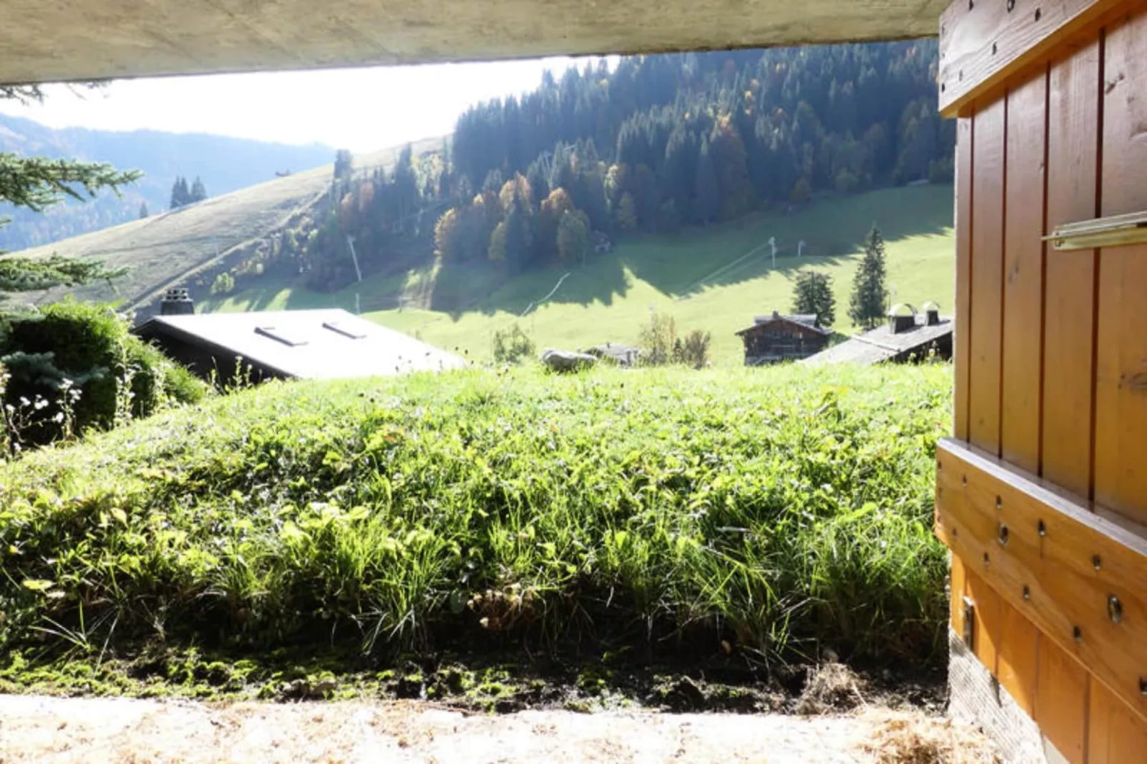 Chalets à La Clusaz-Gebieden zomer 1km