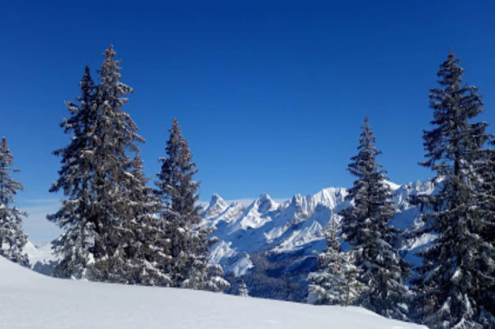 Résidence Nant Soleil A-Gebied winter 20km