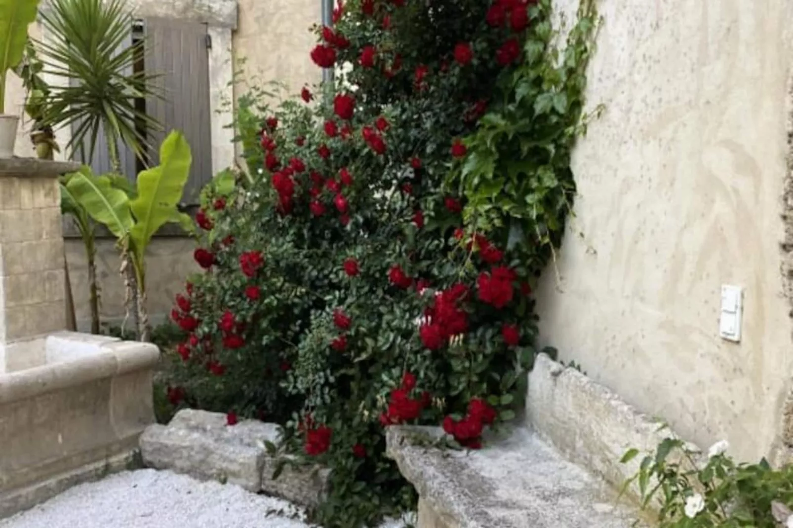 Mas Sylvie - Isle-sur-la-sorgue-Image-tags.