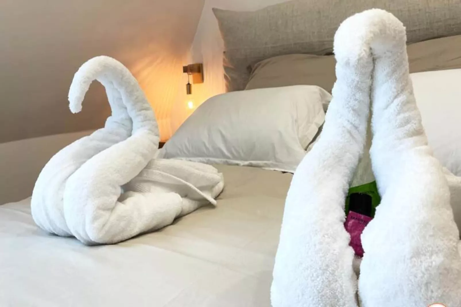 🌅  Le Petit Palais - 50m Plage - Vue Mer Et Campagne-Image-tags.