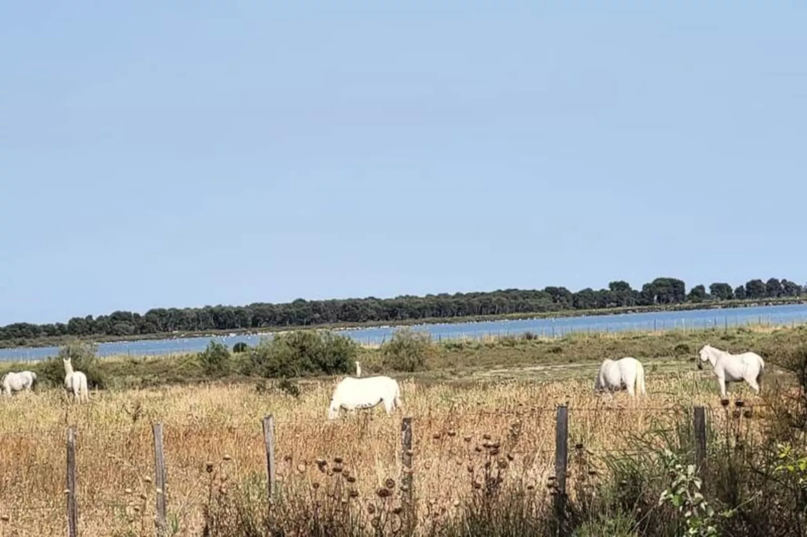 Résidence La Voile Bleue O&ugrave; Il Fait Bon &ecirc;tre Plage Et Commerces &agrave; Pied 2* De France-Image-tags.