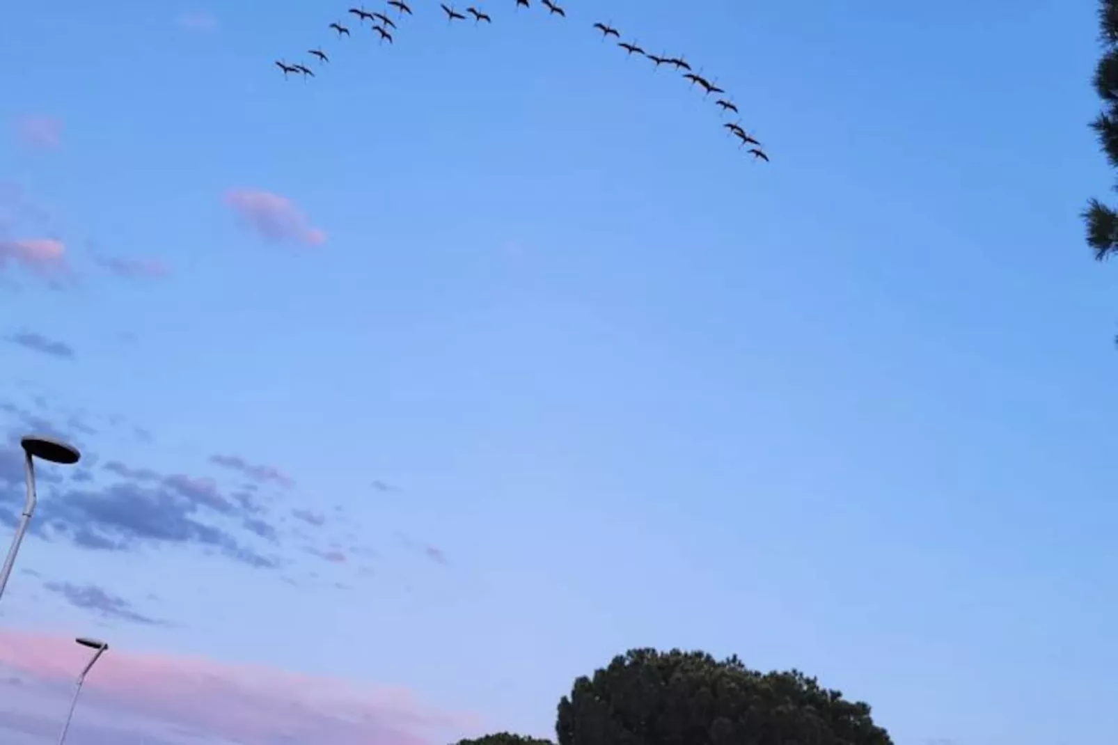 Résidence Marina Nirvana Vue Sur L'eau-Image-tags.