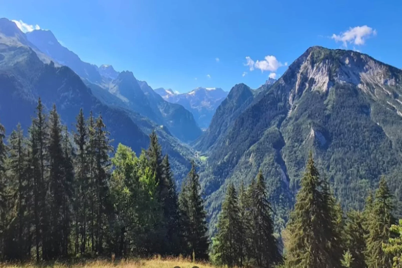 Résidence Dryades - Les Hauts De Planchamp-Gebieden zomer 5km
