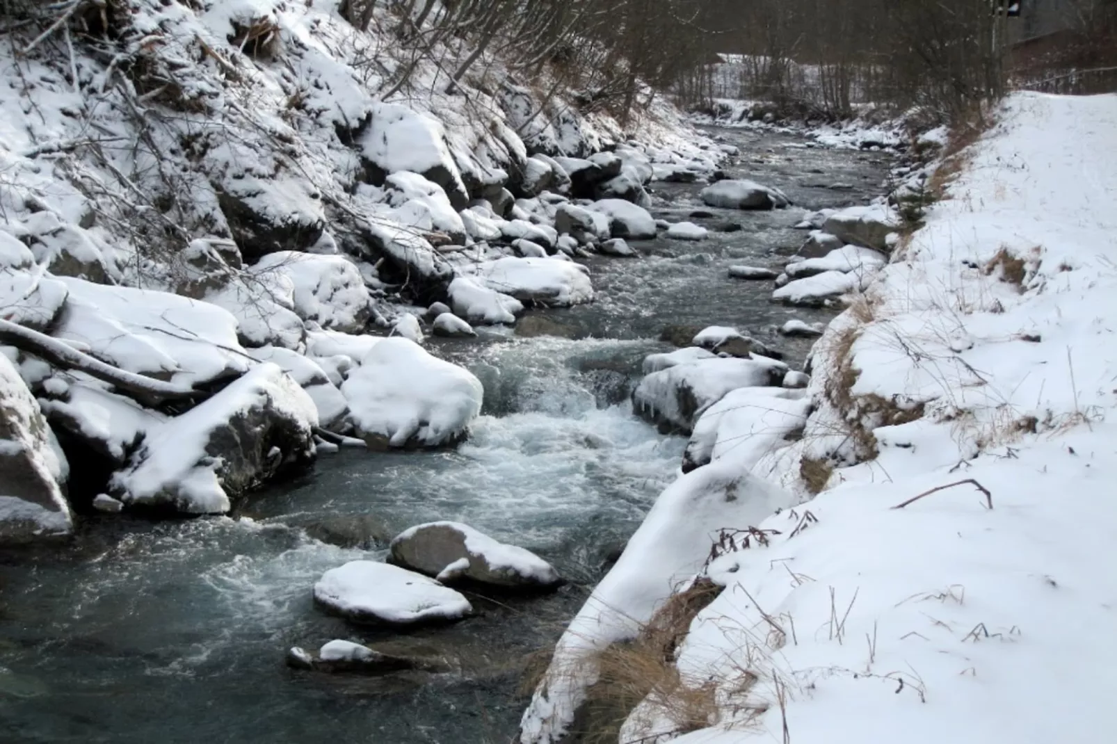 Résidence Cressoua-Gebied winter 5km