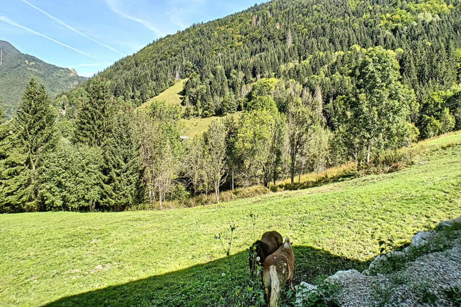 Appartements à Saint Jean d'Aulps-Gebieden zomer 1km