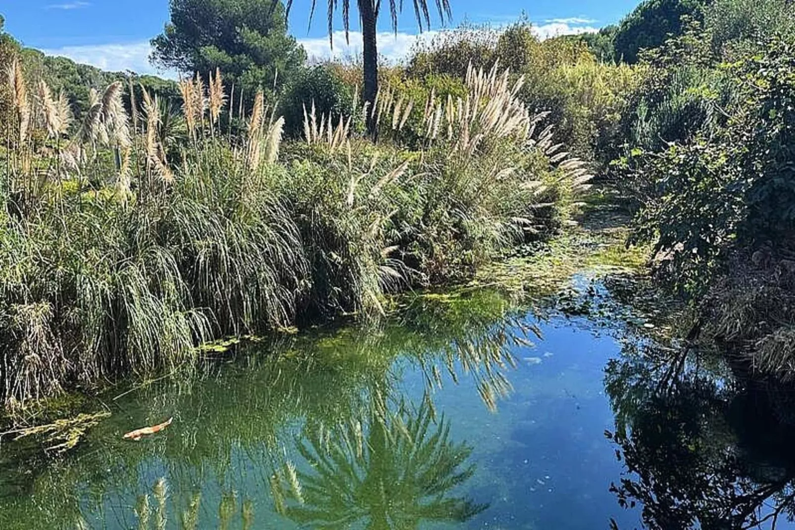 Résidence Rivages-Wellness