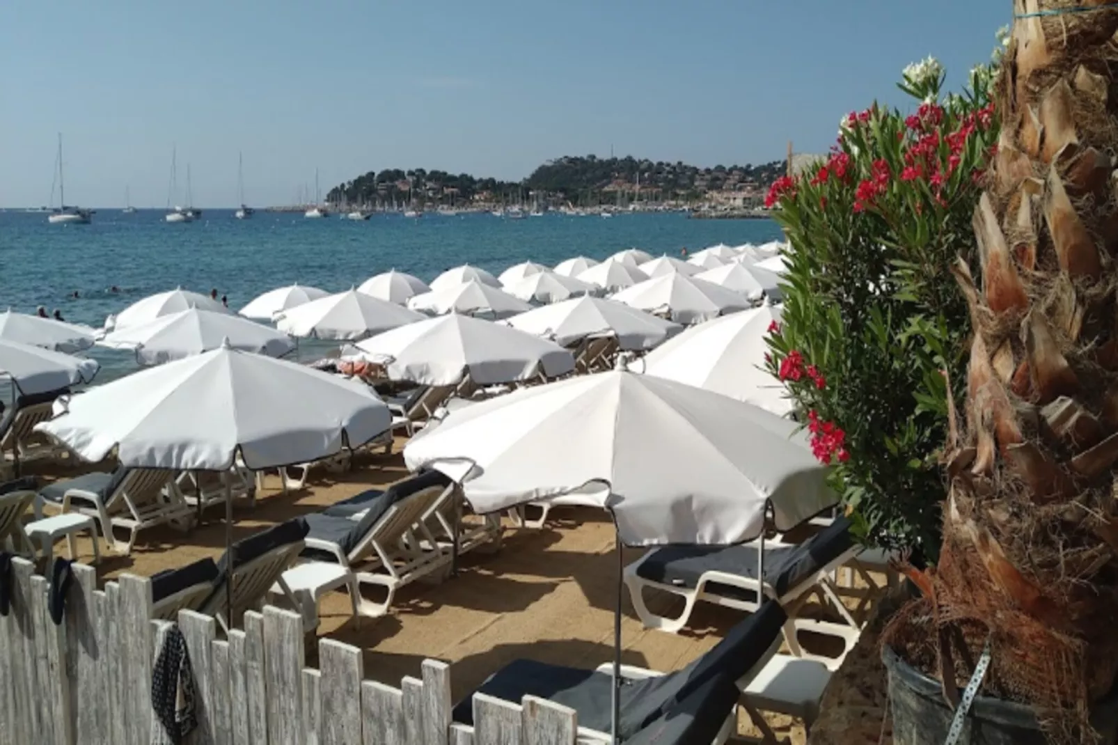 Résidence Porto Piano-Gebieden zomer 5km