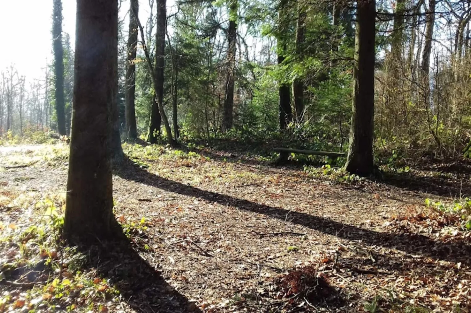 Résidence Montcalm D-Gebieden zomer 5km