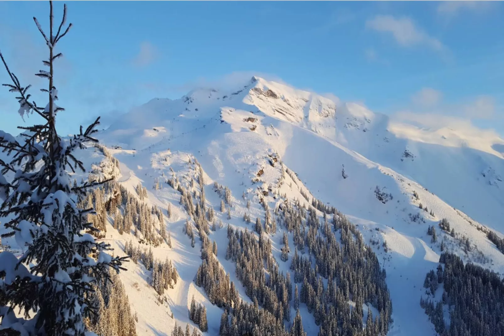 Résidence Quartier Falaise - maeva Home-Gebied winter 5km