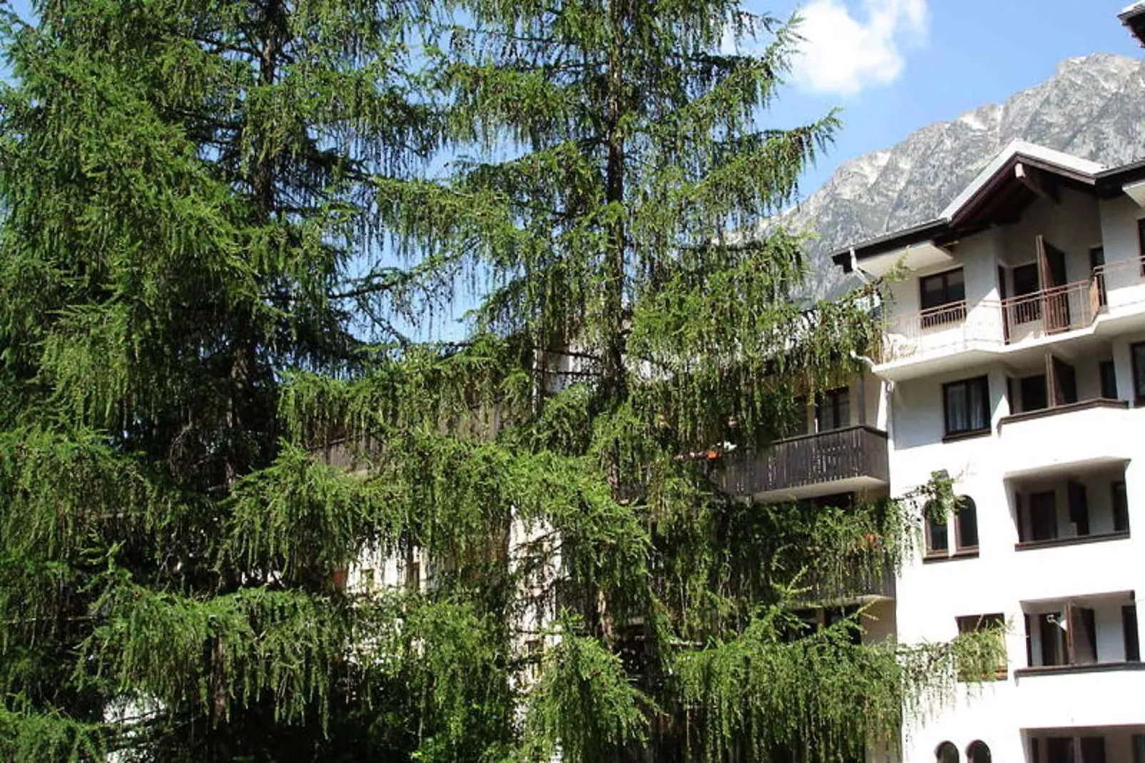 Résidence Jonquille-Gebieden zomer 5km
