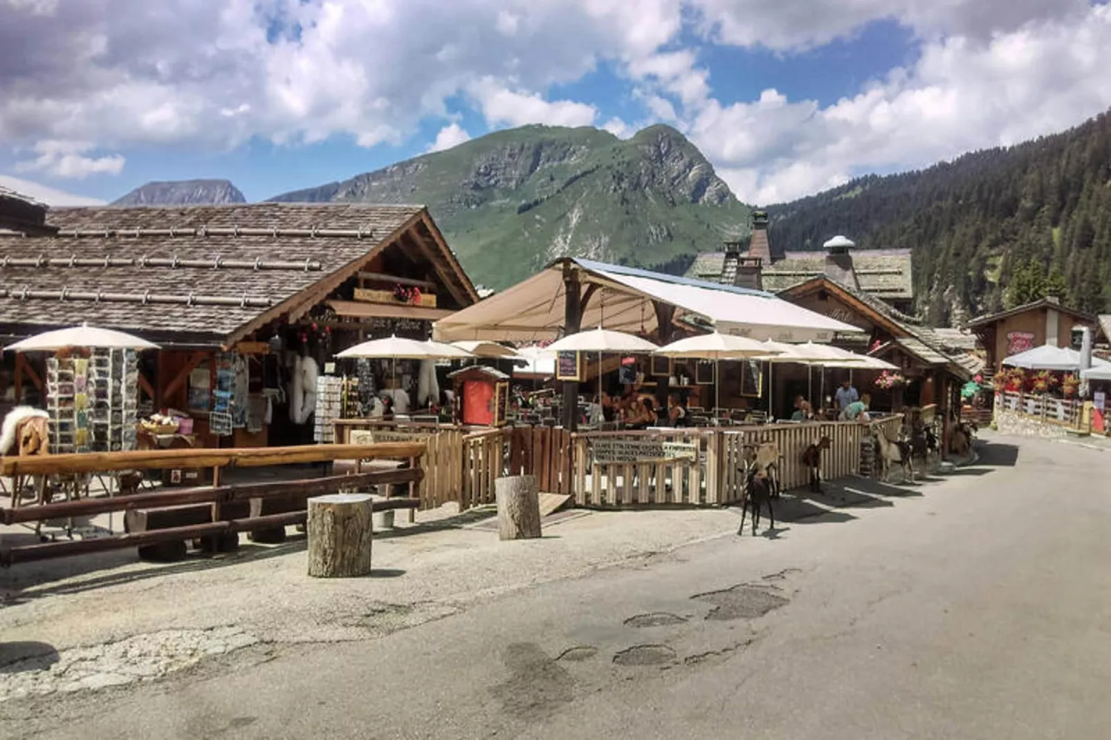 Appartements à Montriond-Gebieden zomer 1km